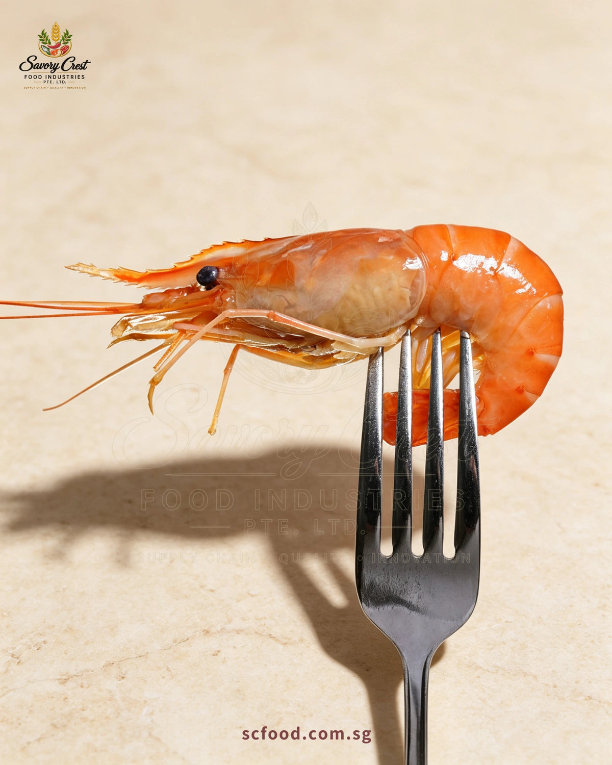Whole orange-red river prawn resting across a dark fork against a warm cream background.