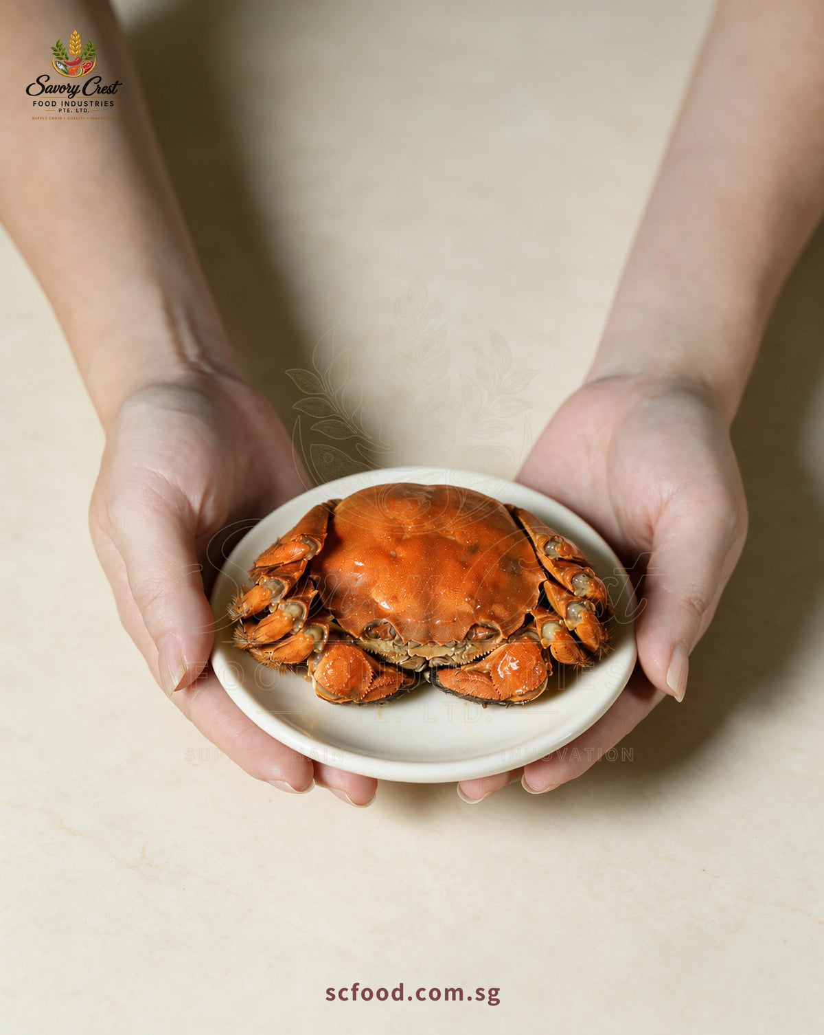 Hands holding a small white plate with a whole Huadiao drunken hairy crab.