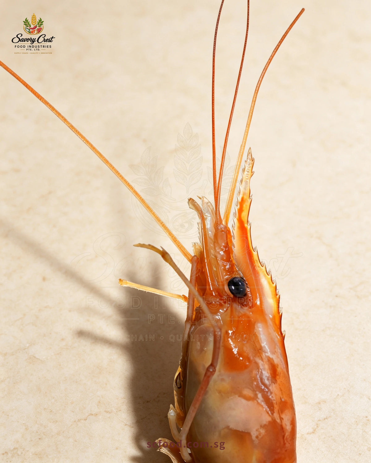 Close-up of a cooked river prawn's head, eye and long antennae against a warm cream background.